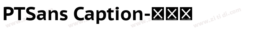 PTSans Caption字体转换